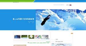 premierstaffingsolutionsllc.com