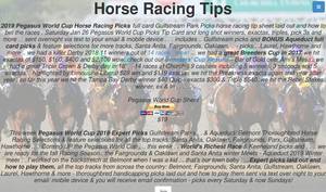 breeders-cup-picks.com