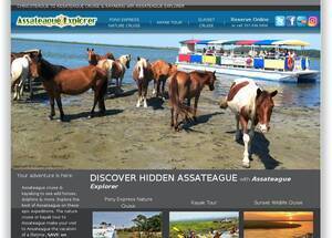 assateagueexplorer.com