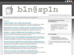 B1n.sp1n.me