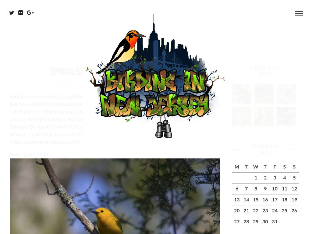 birdinginnewjersey.com