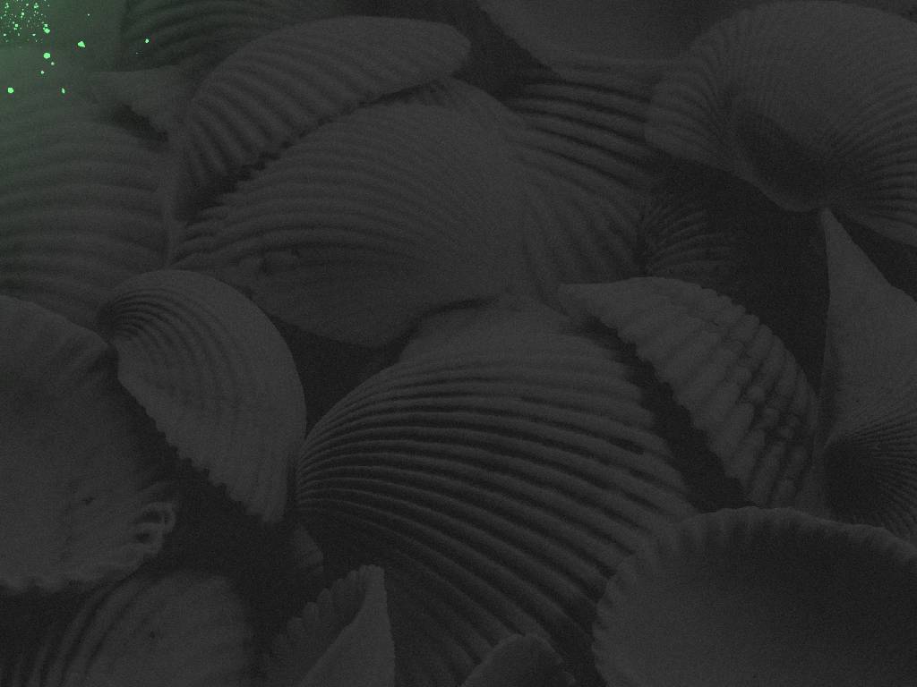 cleitonvieira.com.br