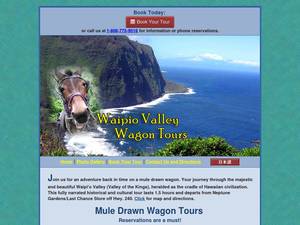 waipiovalleywagontours.com