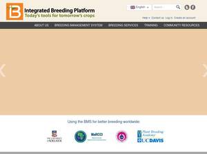 Integratedbreeding.net