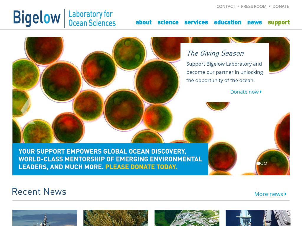 bigelow.org