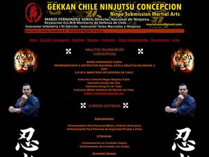bujin.cl