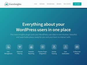 Usersinsights.com