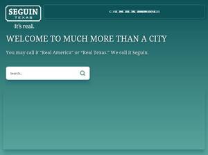 Seguintexas.gov