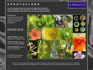 aphotoflora.com
