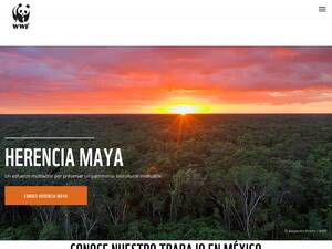 wwf.org.mx