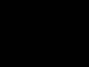 Numberai.com