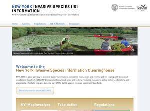nyis.info