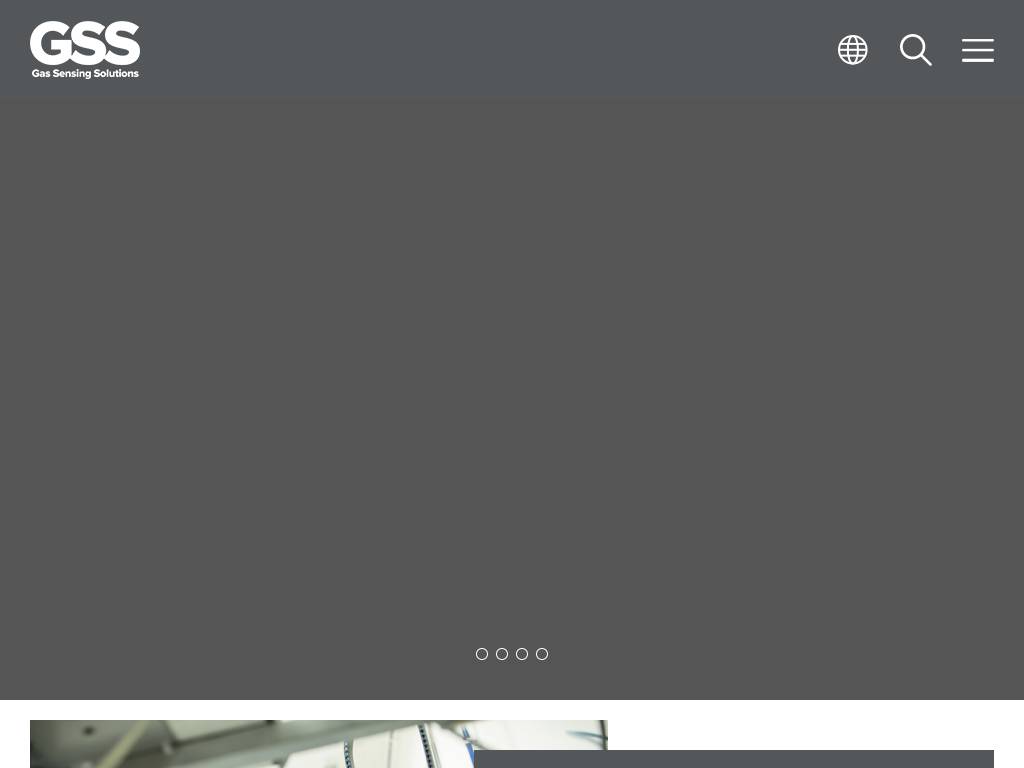 gassensing.co.uk