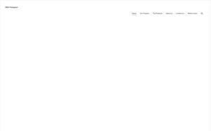 musion.com