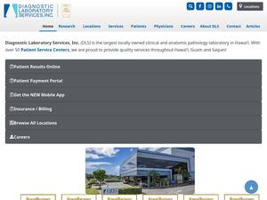 dlslab.com
