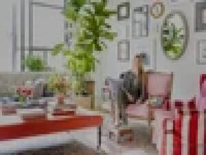 Kateschelter.com