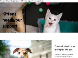 bluecross.org.uk