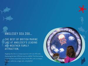 angleseyseazoo.co.uk