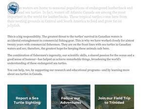 Seaturtle.ca