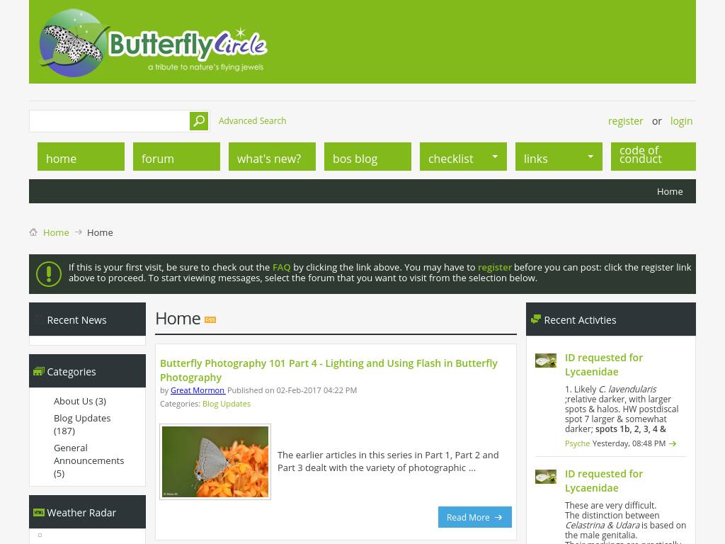 butterflycircle.com