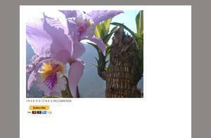 milagrosfernandezasesoriadeinversion.blogspot.com
