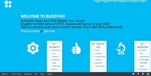 buddyns.com