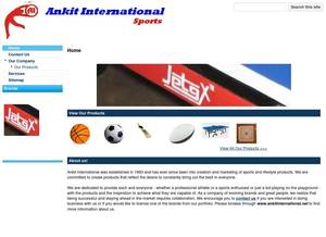 ankitinternational.net