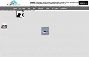 northbysouth2017.com