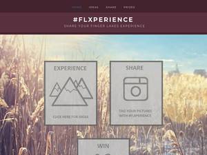 flxperience.com