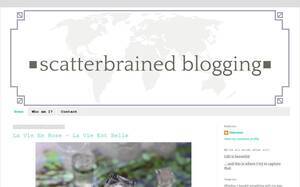 scatterbrainedblogging.blogspot.ie