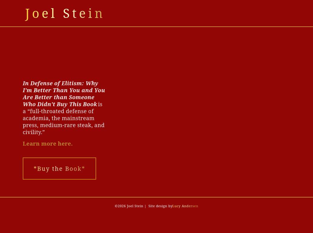 Thejoelstein.com