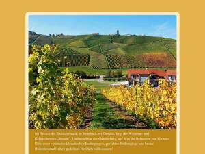 Weingut-strauss.blogspot.com