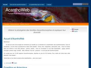 acanthoweb.fr