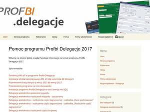 Program.delegacje.info.pl