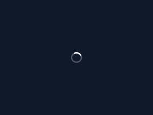 ancorasoftware.com