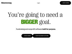 bloomerang.co