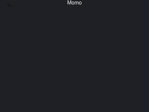 Momo-ltd.com