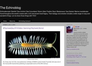 echinoblog.blogspot.com