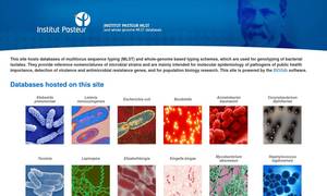Bigsdb.pasteur.fr
