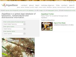 algaebase.org