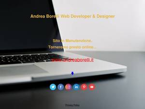andreaborelli.it