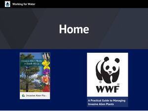 wfw.org.za