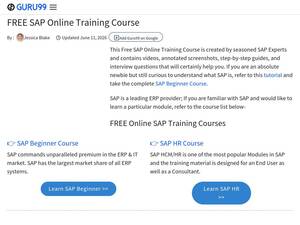 saptraininghub.com