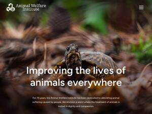 awionline.org