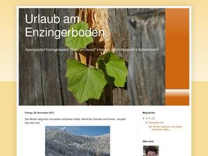 urlaub-enzingerboden.blogspot.com