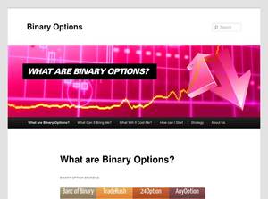 binary-options.nu