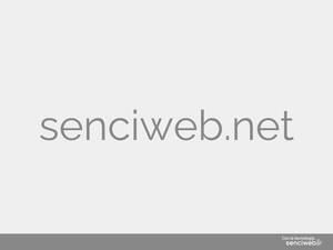 Senciweb.net