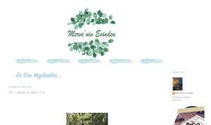 merveninevinden.blogspot.com.tr
