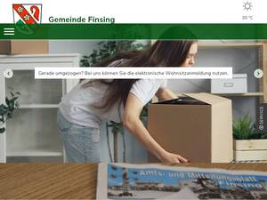 Finsing.de