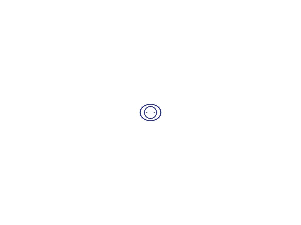 Minaexpress.com